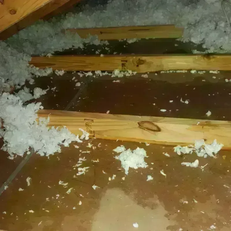 Attic Water Damage in Milton, FL