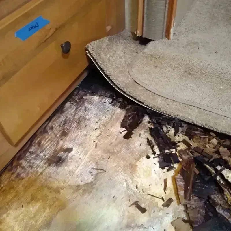 Best Wood Floor Water Damage Service in Milton, FL